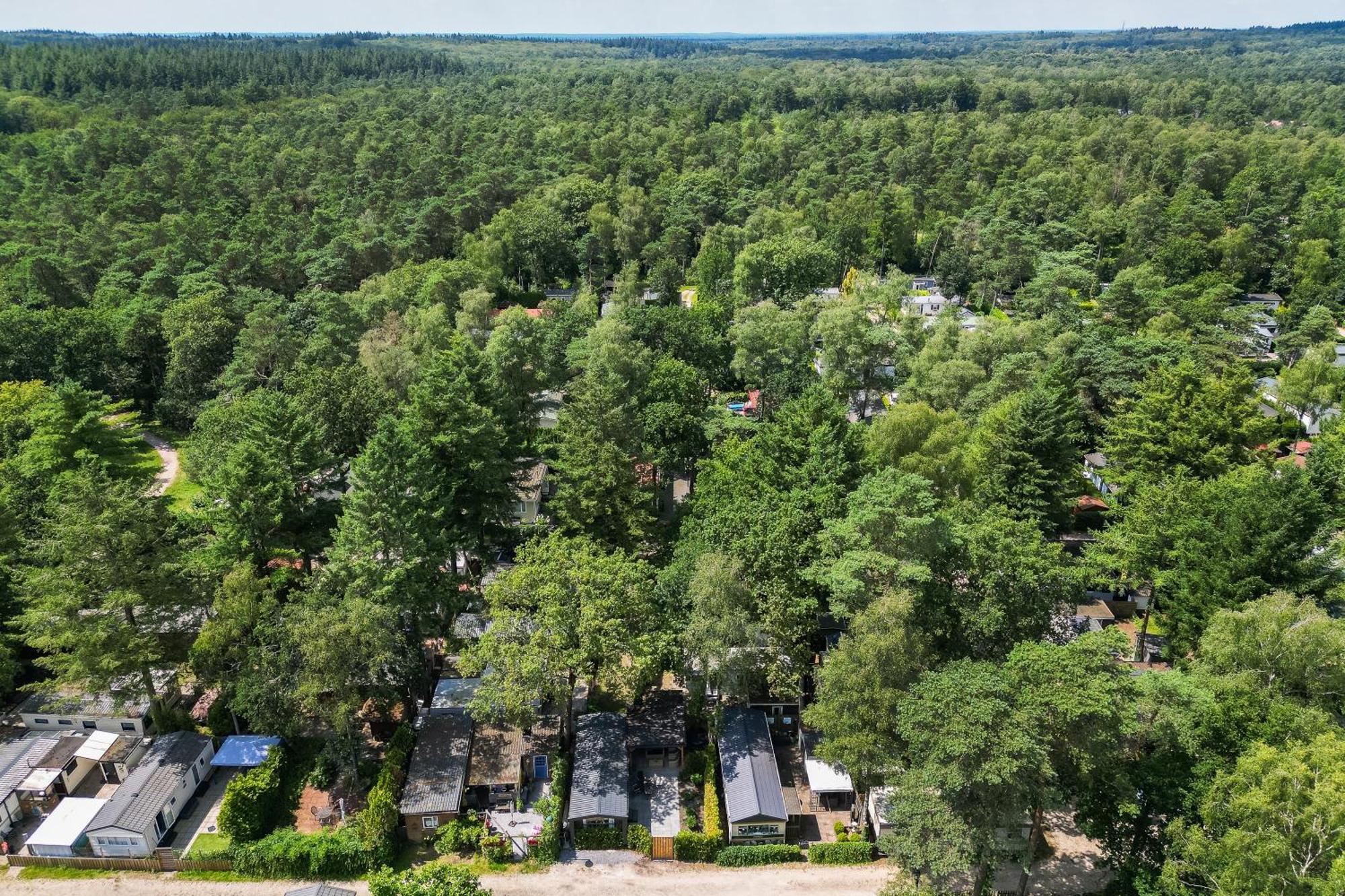 Veluwe Hoenderloo Luxury Chalet With Private Sauna And Hot Tub - Swimming Pool Tennis Court Supermarket Bowling Alley Theatre And Entertainment For Children Екстериор снимка